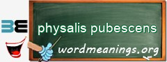 WordMeaning blackboard for physalis pubescens